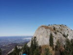 IMG_20201107_121614.jpg
