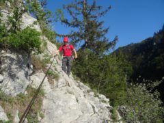 Naturfreundesteig Traunstein