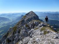 Blick auf den Scheffauer