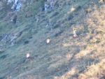 IMG_20211001_180313.jpg