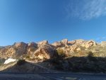 IMG_20241020_094205.jpg