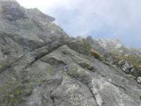 20170812_220Plattenspitze.JPG