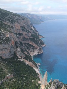 selvaggio blu