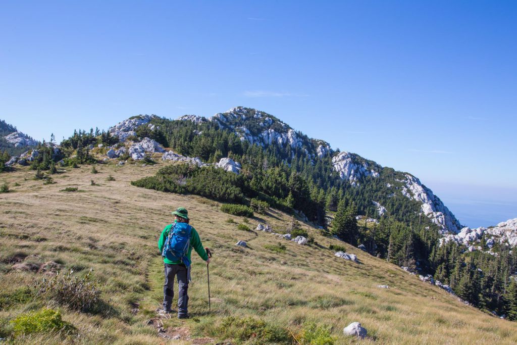 nach-250km-2 - Handschlaufen - Black Diamond Trail Pro Trekkingstöcke via dalmatica