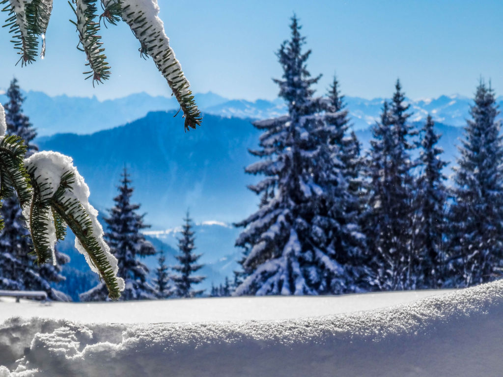 Schneeschuhtour in den bayerischen Voralpen