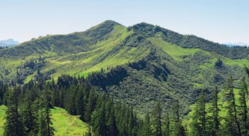 Riedberger Horn (Foto: Oswald Baumeister/Gesellschaft für Ökologische Forschung)