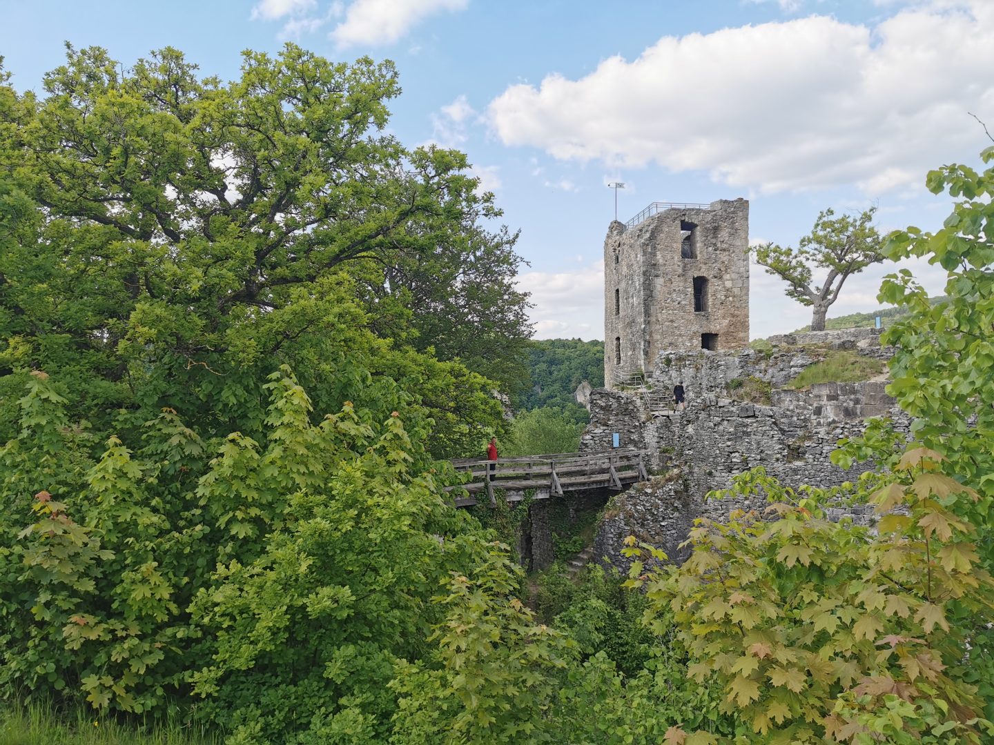 Burgruine Neideck