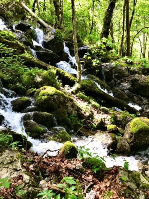 Röthbachfall Wasserfall - Bild: Monika Götz