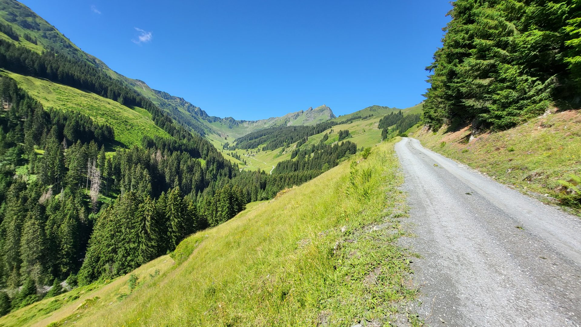 E-Bike Auffahrt durchs Schwarzachetal